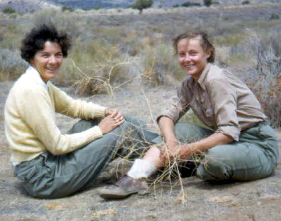 Rosemarie and Lloyd Balsam Collection