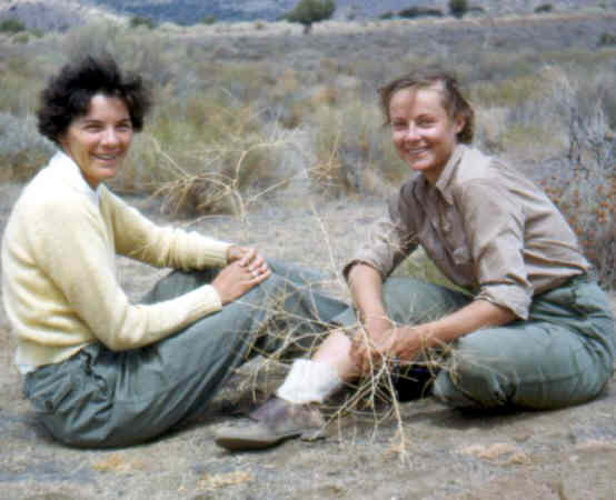 Photographer:  Lloyd Balsam