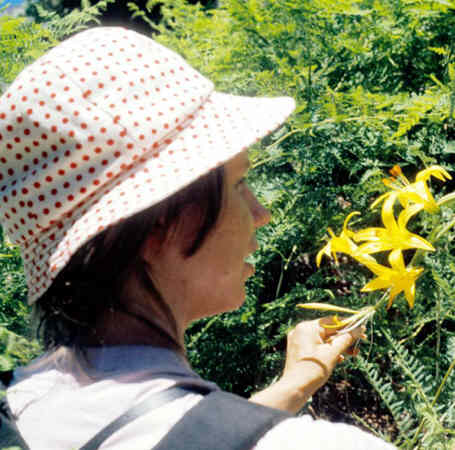 From the Robert & Maureen Cates Collection