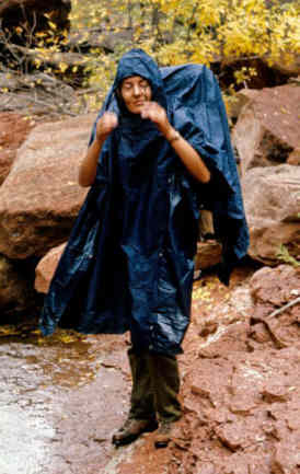 From the Robert & Maureen Cates Collection