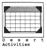 Desert Activities