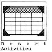 Desert Activities